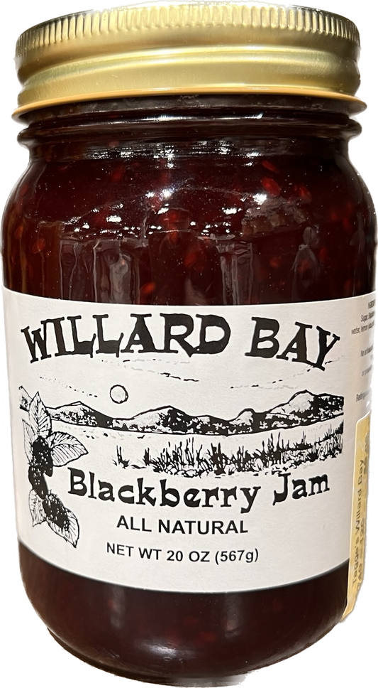 Willard Bay Blackberry Jam