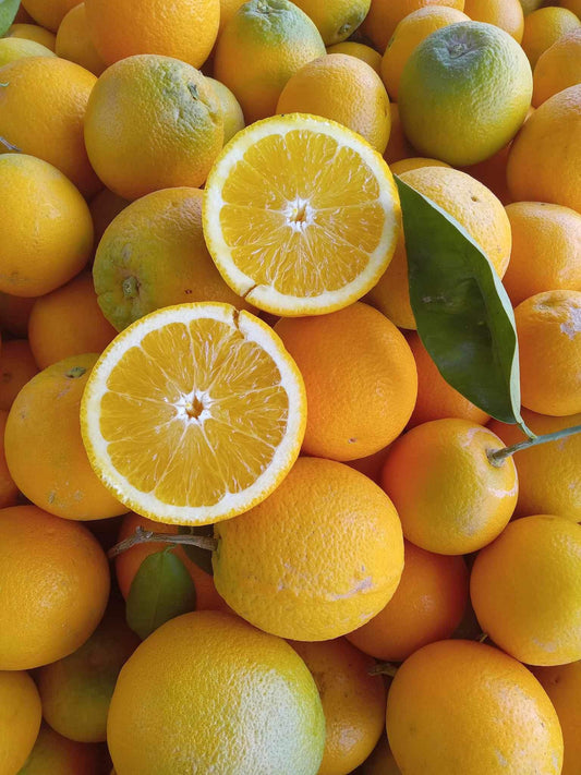 California Navel Oranges